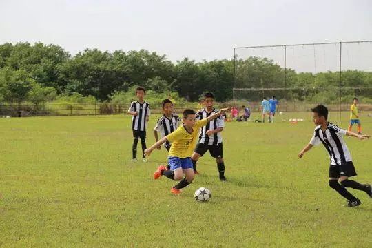 尤文图斯足球俱乐部官网_尤文图斯足球俱乐部_尤文图斯足球俱乐部队徽