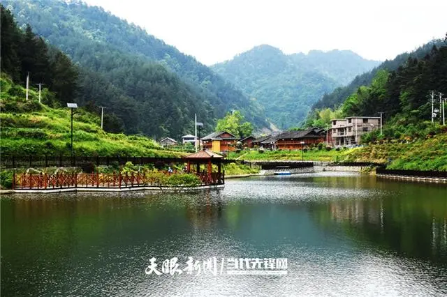 立秋后探访亚盘林风景区：凉风扑面，自然风光旖旎，生态养生好去处