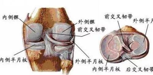 联盟式橄榄球规则_橄榄球联合队_联盟式橄榄球比赛时间