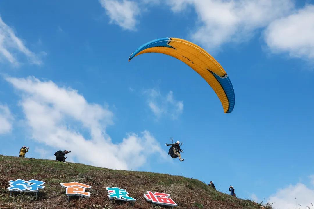 南京九中篮球队球员_南京篮球省队_篮球队球员南京中卫是谁