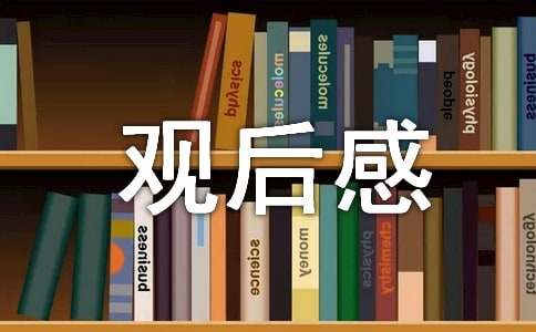 最强大脑观赛有感：李云龙胜利背后的思考