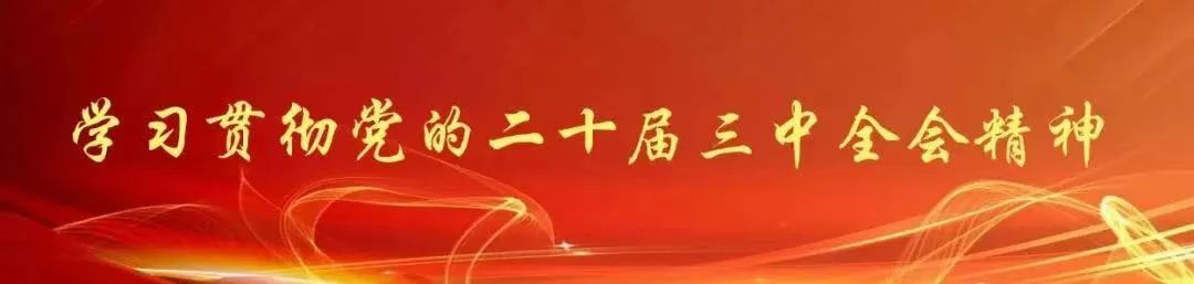 篮球中国赛事_中国篮球队比赛日程_篮球中国队比赛赛程