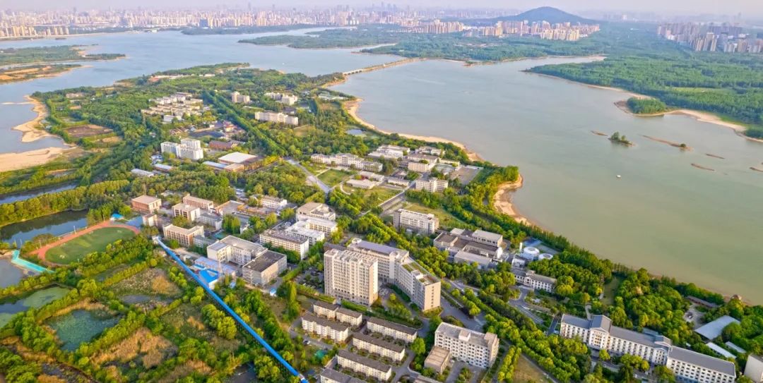 亚盘教程视频_亚盘16种分析技巧_亚盘入门知识