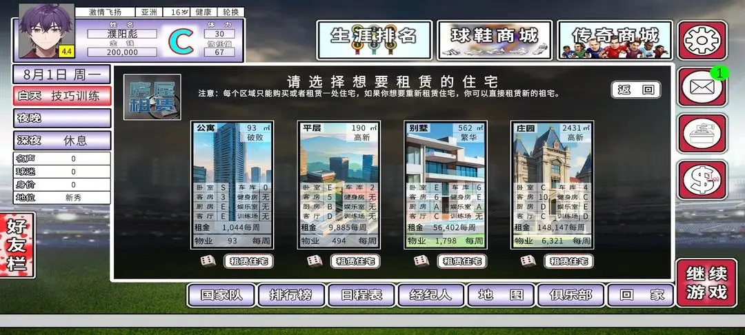 职业足球生涯