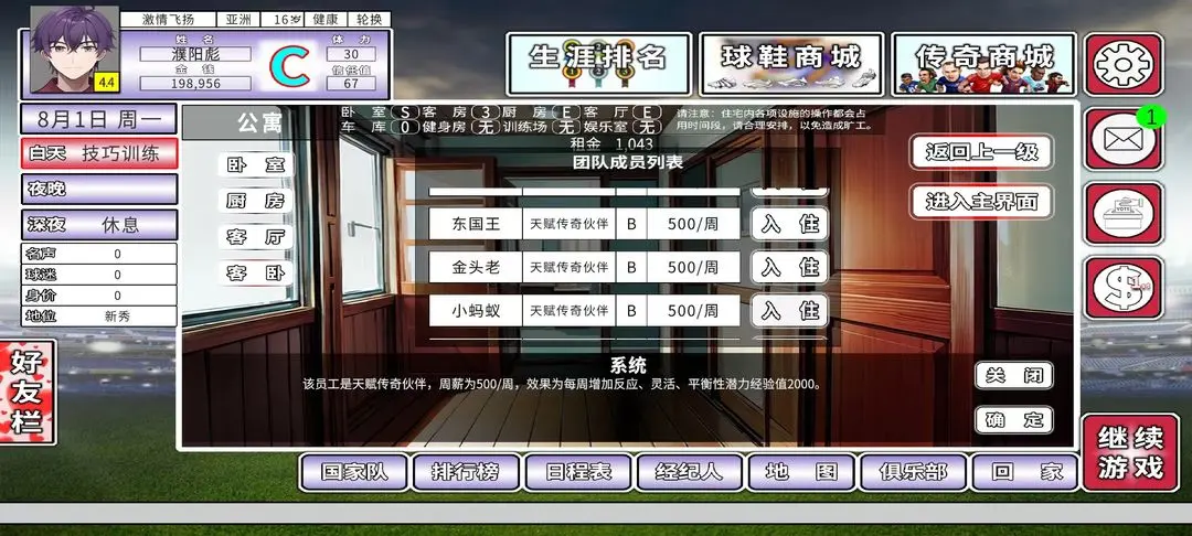 职业足球生涯