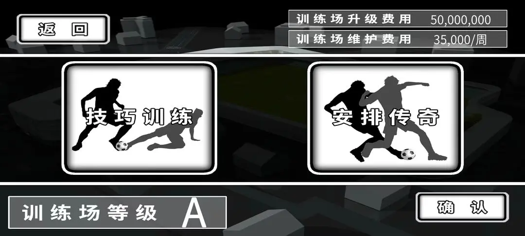 职业足球生涯