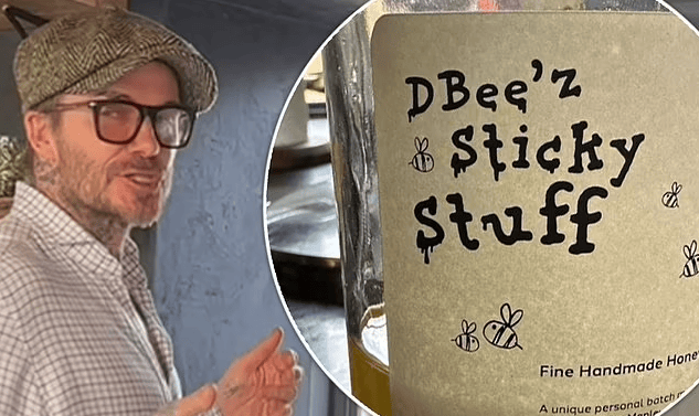 皇家社会巴伦西亚几点_巴伦西亚 皇家社会_皇家社会巴伦西亚盘口
